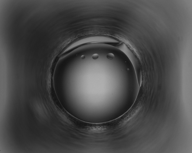 X0000095940445200801111333