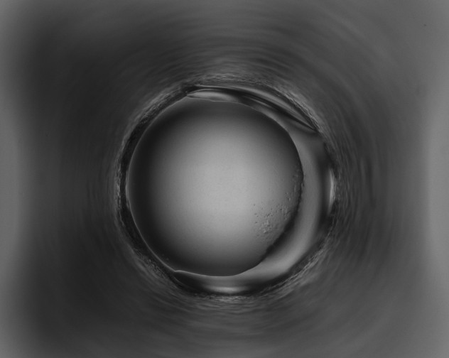 X0000095940446200801111333