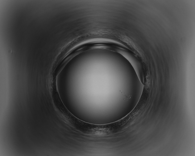 X0000095940448200801111333
