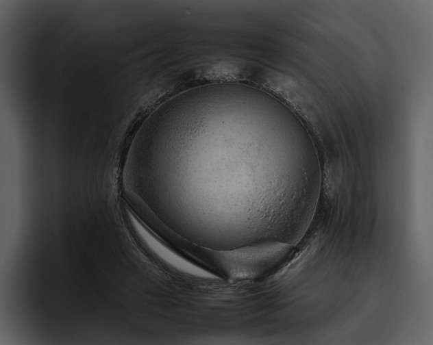 X0000095940449200801111333