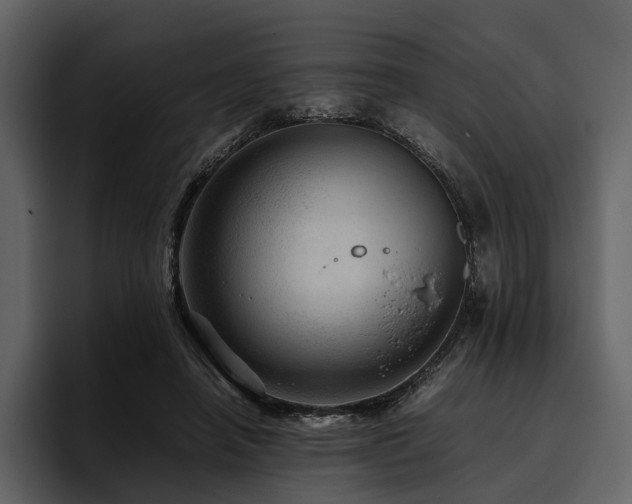 X0000095940450200801111333
