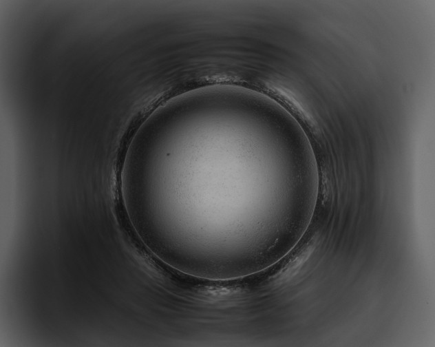X0000095940453200801111333