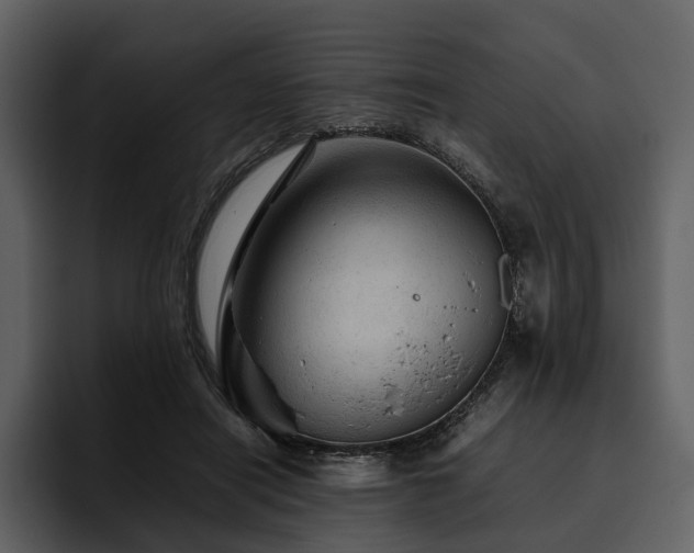 X0000095940454200801111333