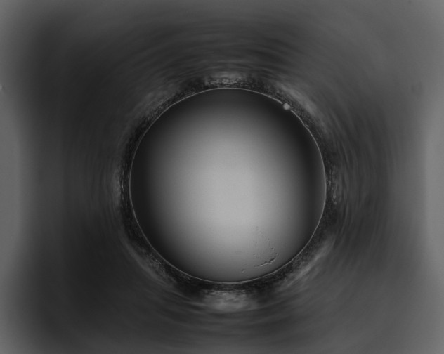 X0000095940455200801111333