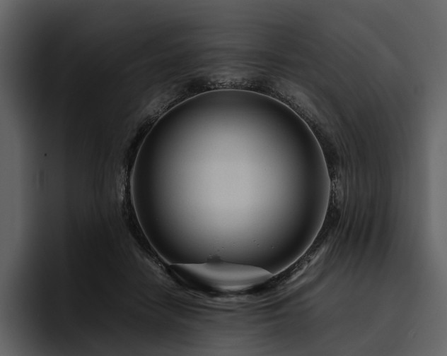 X0000095940458200801111333