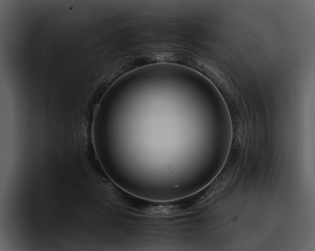 X0000095940461200801111333