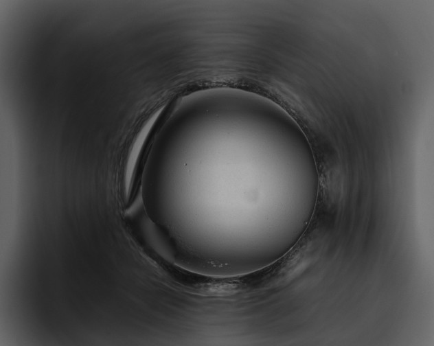 X0000095940462200801111333