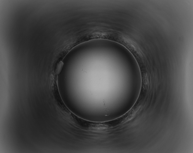 X0000095940463200801111333