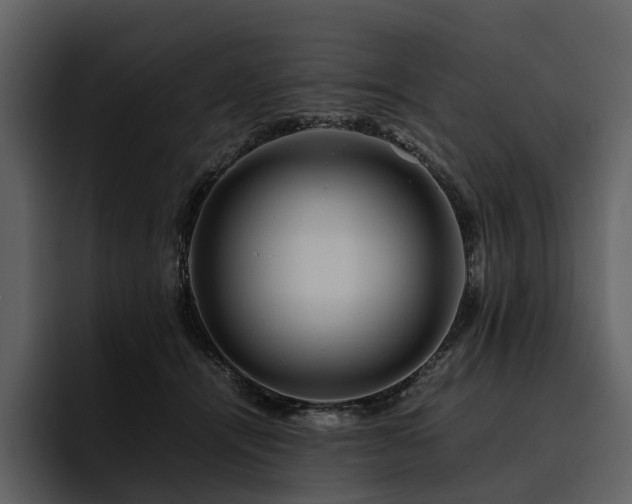 X0000095940464200801111333