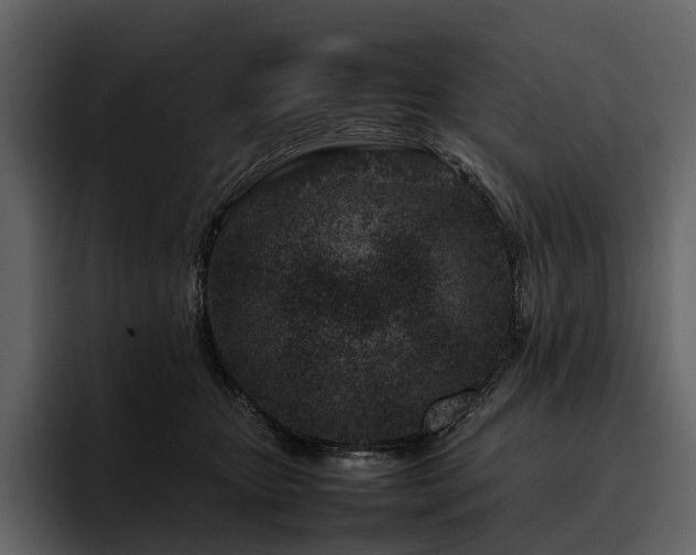X0000095940467200801111333