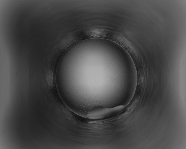 X0000095940469200801111333