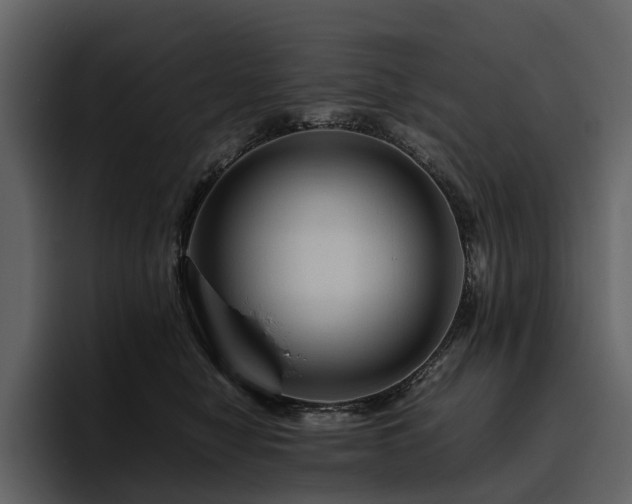X0000095940470200801111333