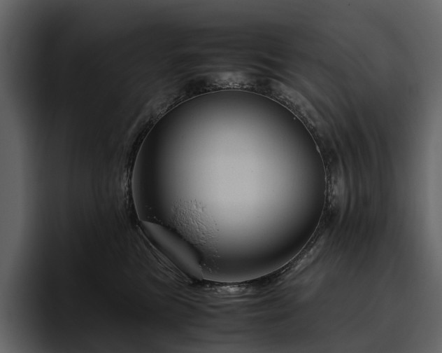 X0000095940473200801111333
