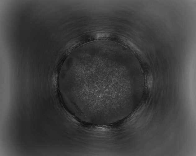 X0000095940475200801111333