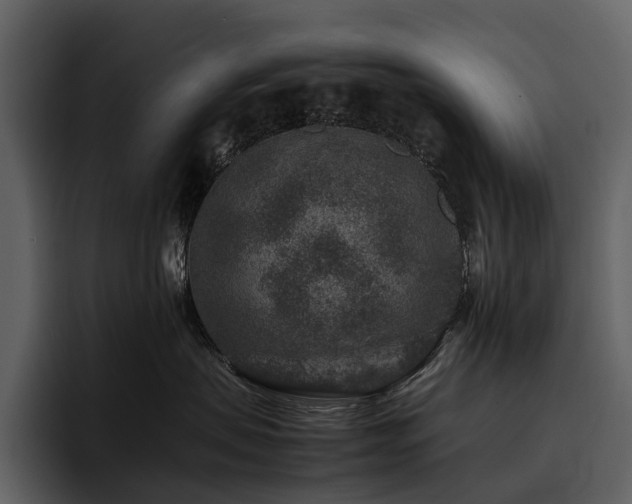 X0000095940479200801111333
