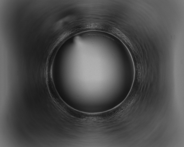 X0000095940482200801111333