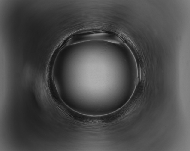 X0000095940483200801111333