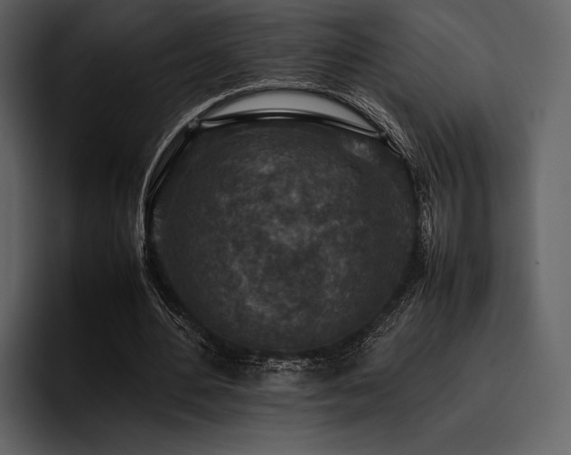 X0000095940484200801111333