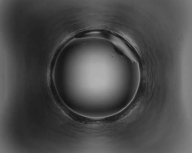 X0000095940485200801111333