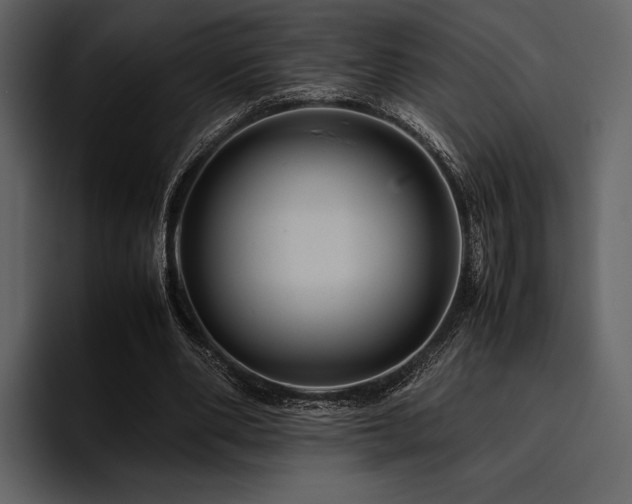X0000095940486200801111333
