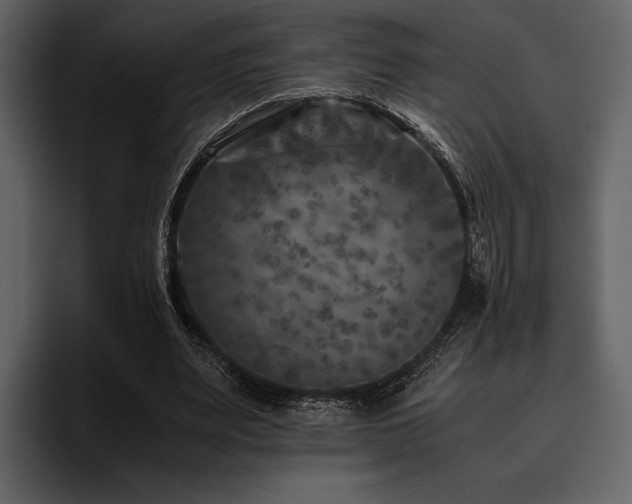 X0000095940487200801111333