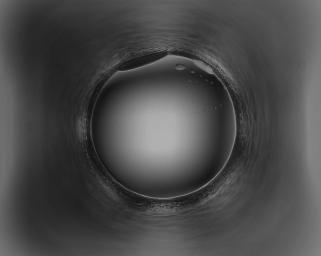 X0000095940489200801111333