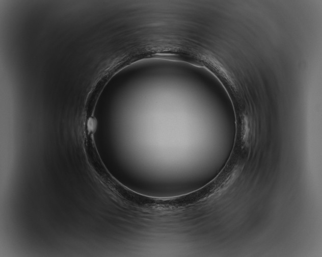 X0000095940490200801111333