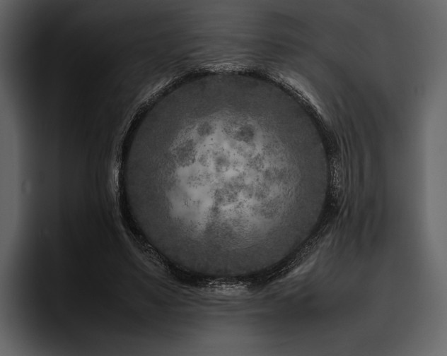 X0000095940491200801111333