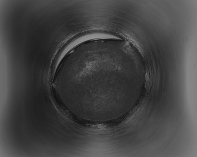 X0000095940492200801111333