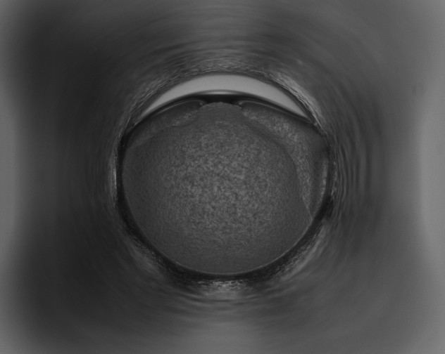 X0000095940493200801111333