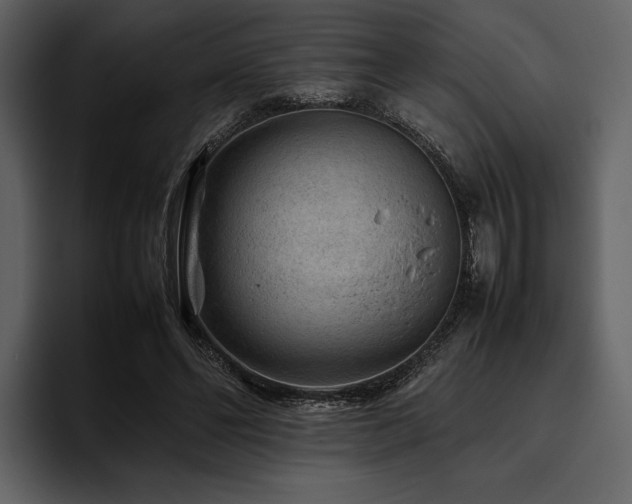 X0000095940494200801111333