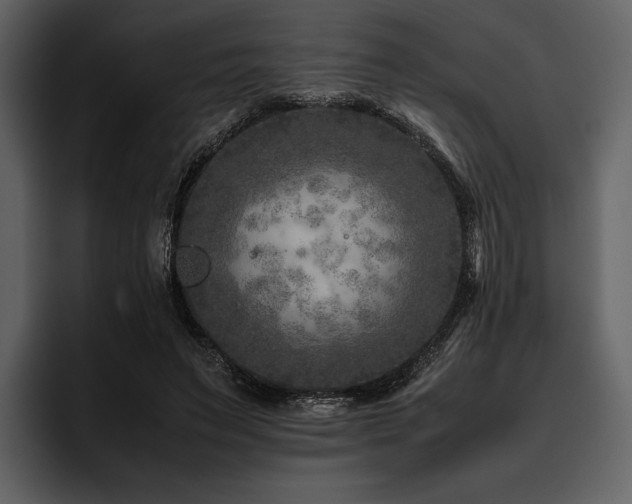 X0000095940495200801111333