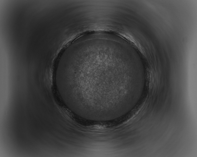 X0000095940496200801111333