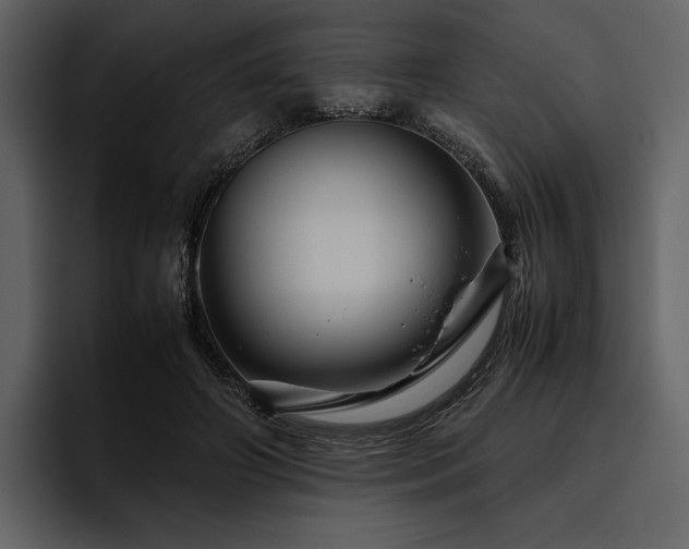 X0000095940498200801111333