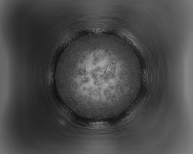 X0000095940499200801111333