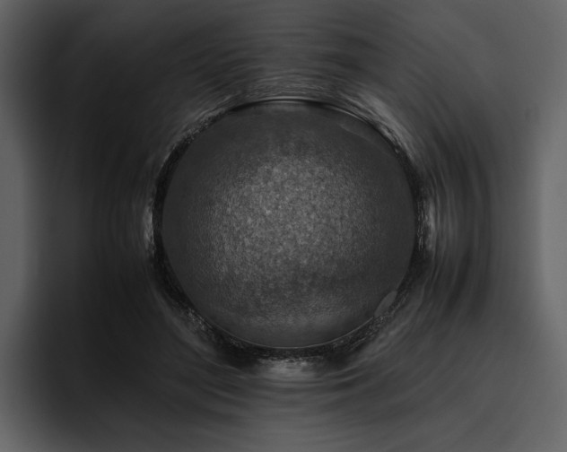 X0000095940500200801111333