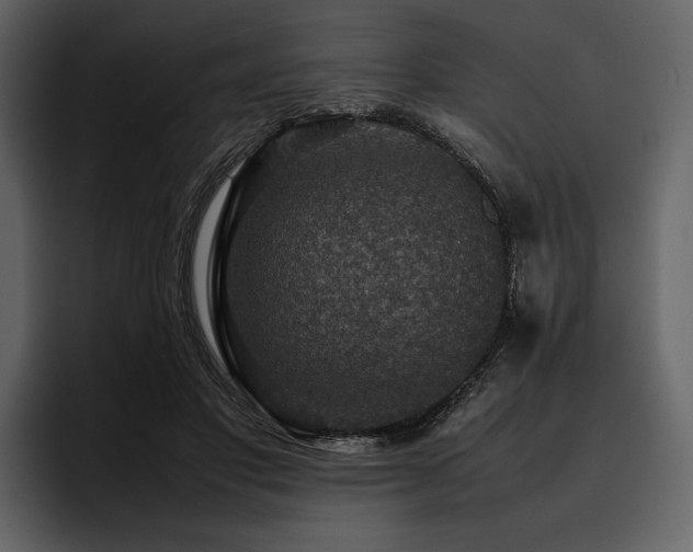 X0000095940501200801111333