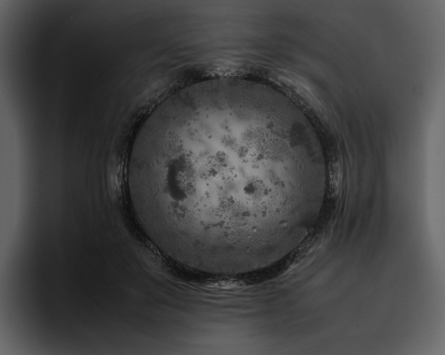 X0000095940503200801111332