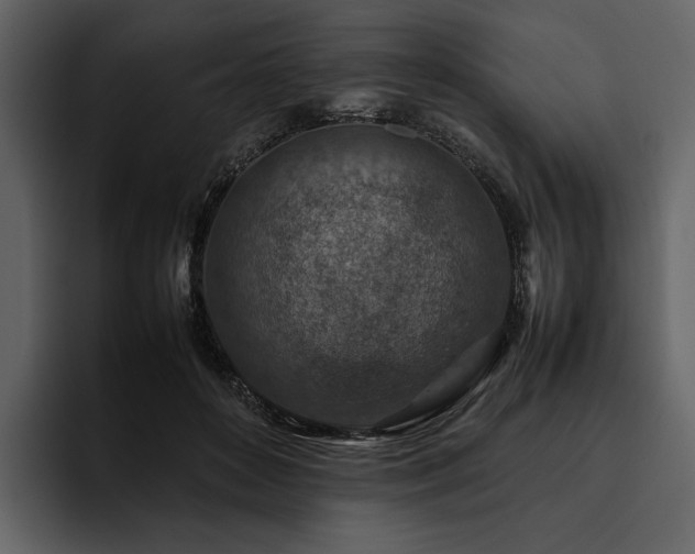 X0000095940504200801111332
