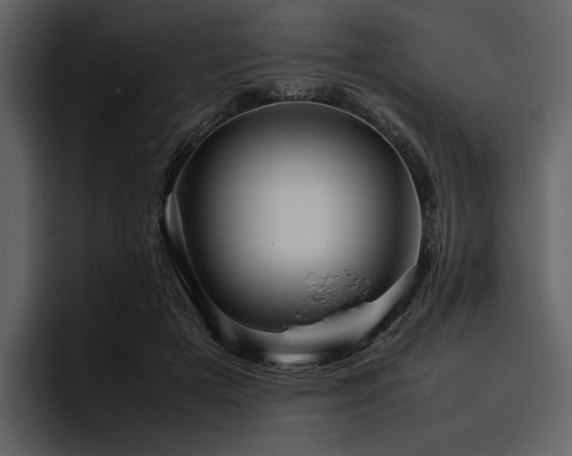 X0000095940505200801111332