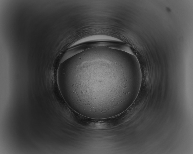 X0000095940506200801111332