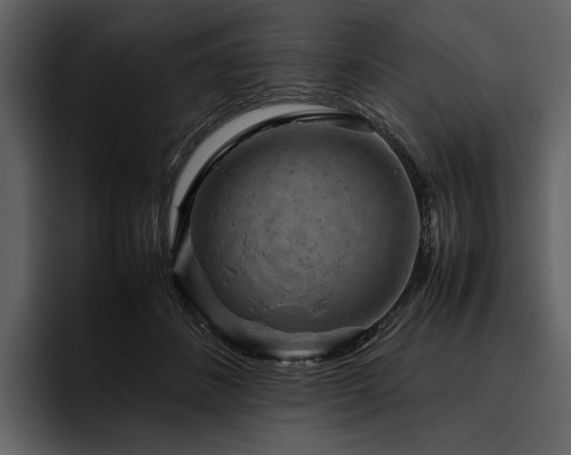 X0000095940508200801111332