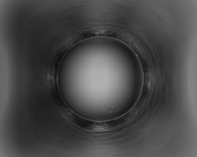 X0000095940510200801111332