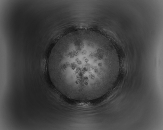 X0000095940511200801111332