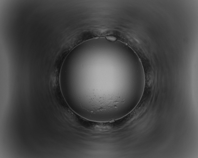 X0000095940515200801111332