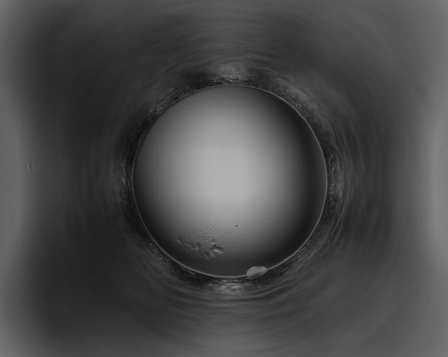 X0000095940518200801111332
