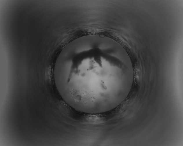 X0000095940519200801111332