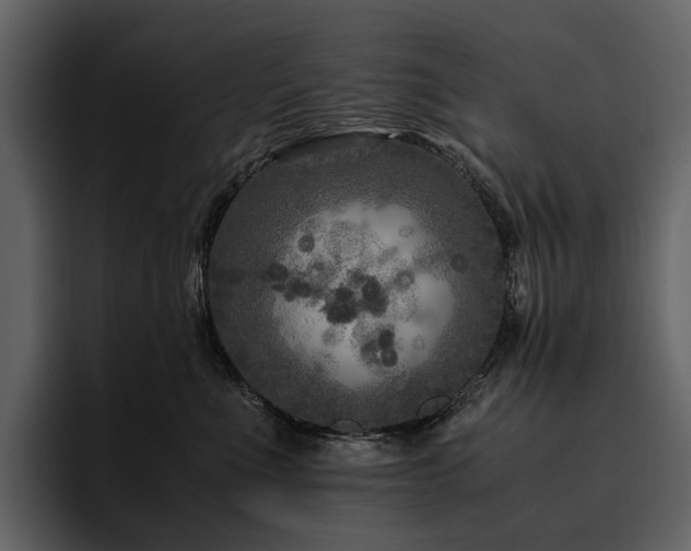 X0000095940523200801111332