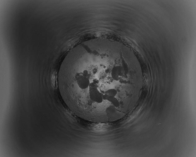 X0000095940527200801111332