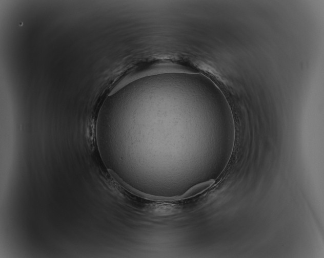 X0000095940528200801111332